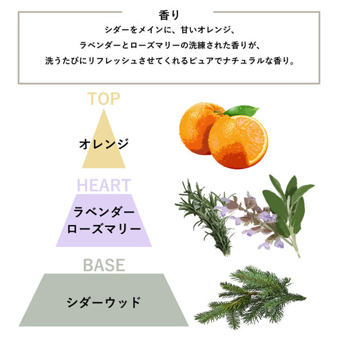 SEES Hand Soap 500ml No 1 Cedar & Orange